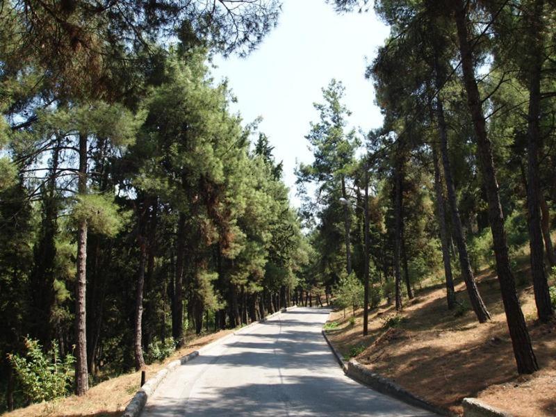 Myth1 Hike Around Kalimarmaron, Panathinaic Stadium And Big Alsos Park Apartment Atena Exterior foto