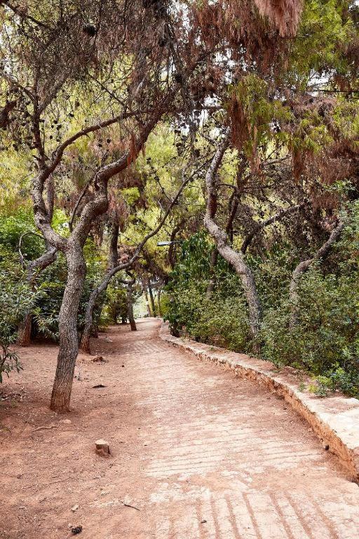 Myth1 Hike Around Kalimarmaron, Panathinaic Stadium And Big Alsos Park Apartment Atena Exterior foto